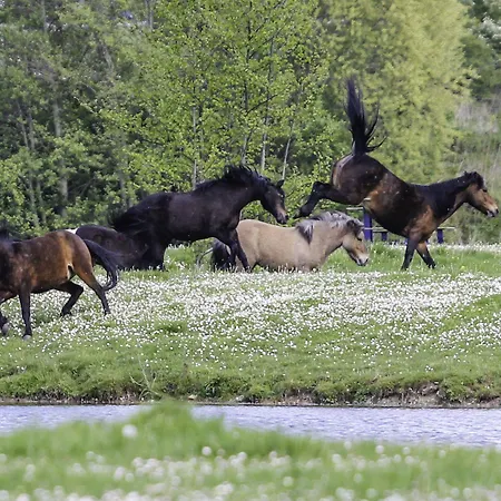 Lieu Dieu, Domaine De Campagne * Beauchamps (Somme)
